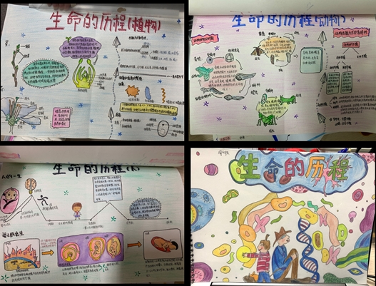 因此初一科學組的老師們佈置了觀看紀錄片《人體奧秘》第一集並結合