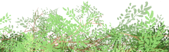 说明: 组 2.png